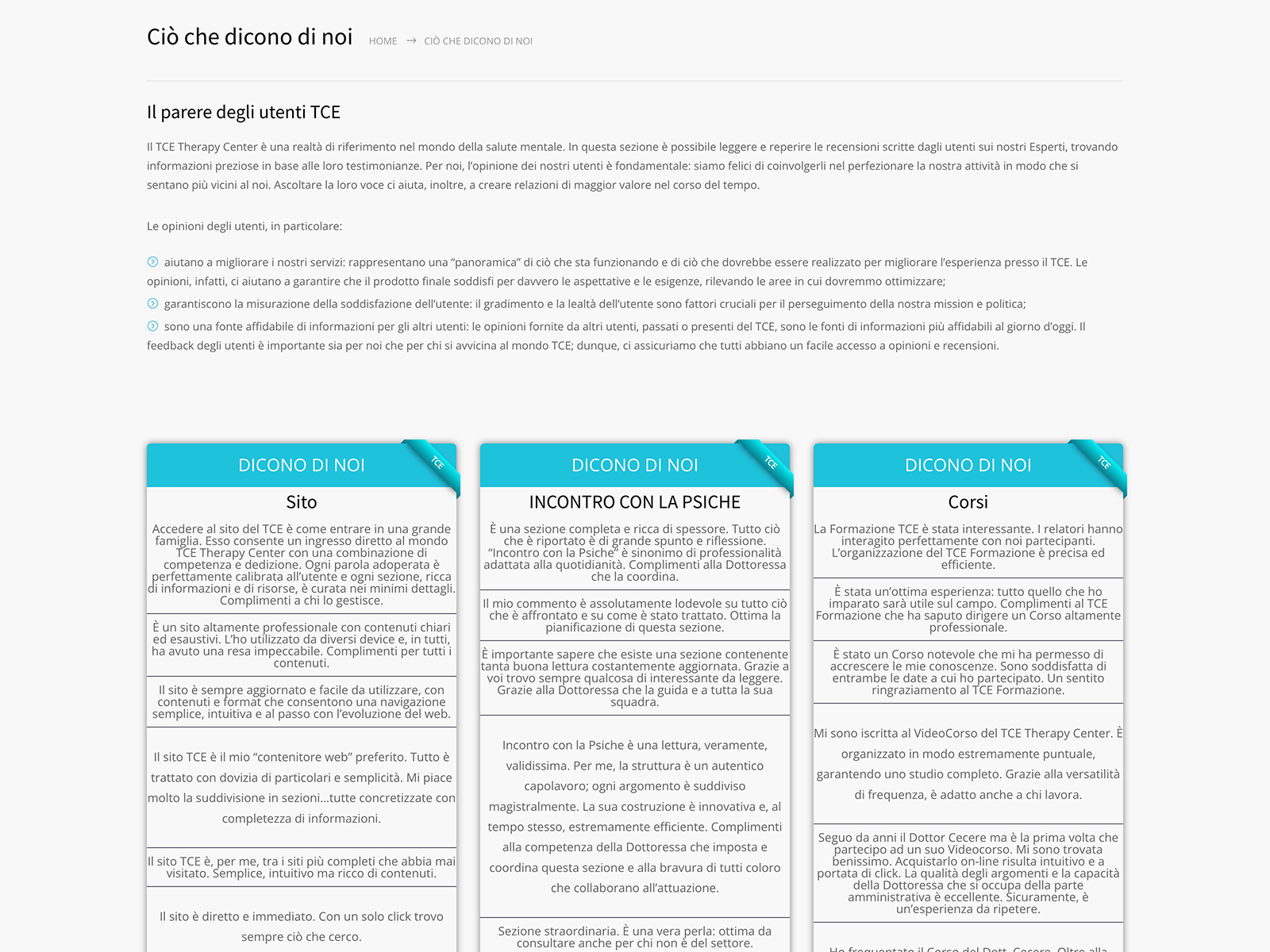 TCE_website_mockup_3
