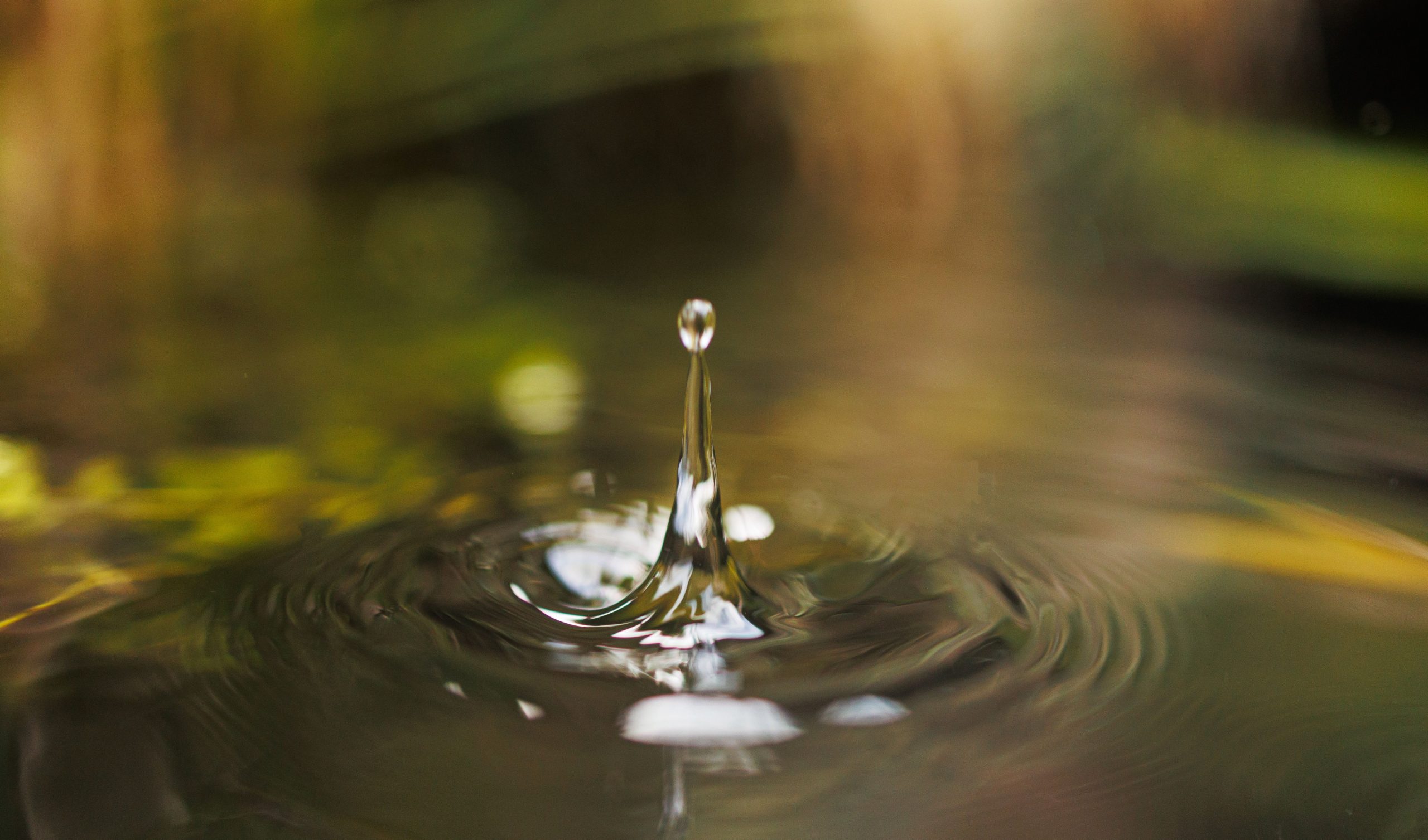 Servizi Ecologici Ambientali